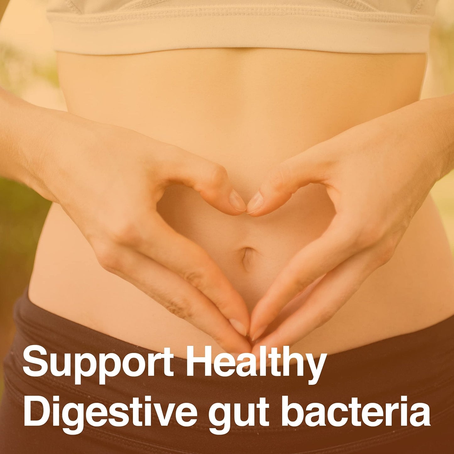 Vatellia Life New from Eaters Digest | Prebiotic | Probiotic | Digestive Support | Gut Soothing | Healthy Gut Lining | Max Nutrient Absorption - Maple Wellness Supplements