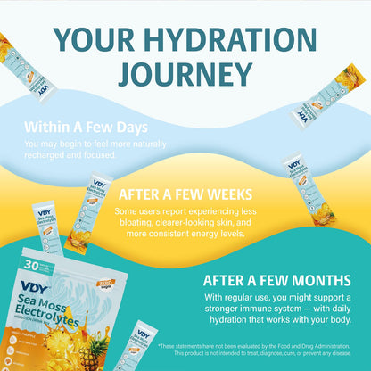 VDY Sea Moss Electrolytes Powder Packets - Hydration Packets Sugar Free - Electrolyte Packets with 30 Sticks - Zero Sugar & 0 Calorie - Keto Friendly - Maple Wellness Supplements
