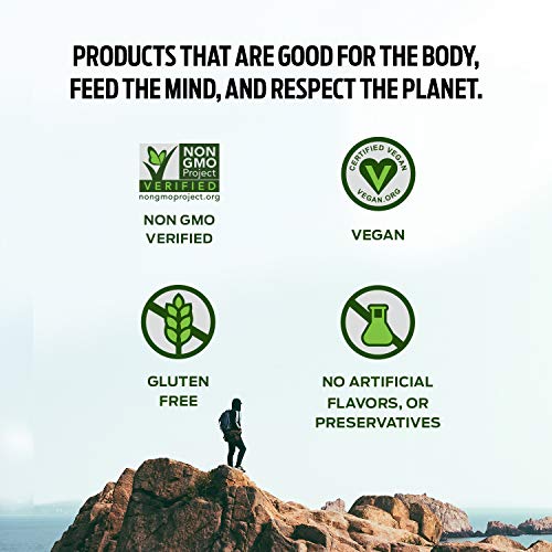 Vega Protein Made Simple Protein Powder, Strawberry Banana - Stevia Free, Vegan - Maple Wellness Supplements