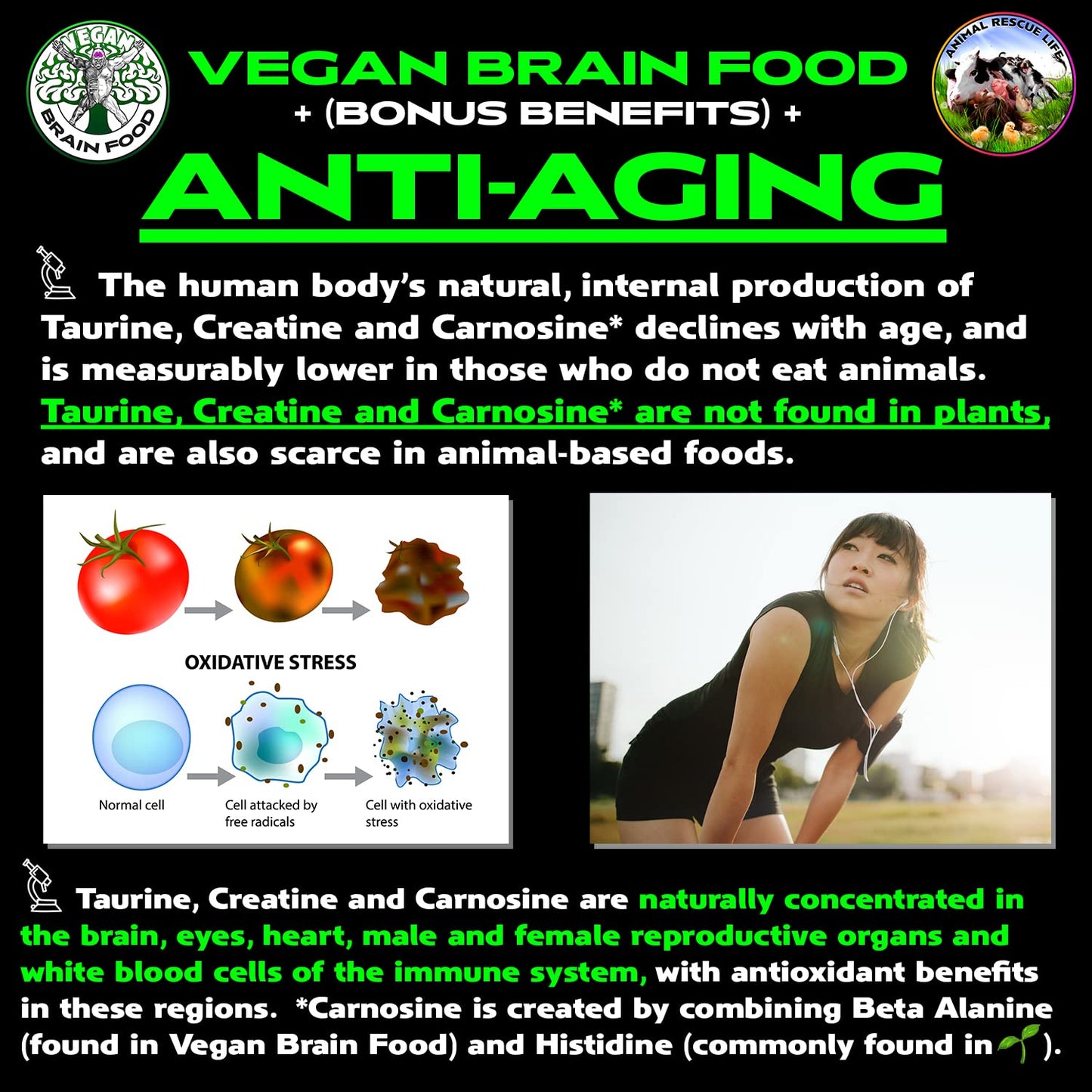 Vegan Brain & Body Boost: The Cherry On Top of A Plant-Based Lifestyle | Working Intelligence | Anti-Aging | Physical Fitness | Vegan Amino Acids - Creatine, Taurine & Beta Alanine | 40 Servings/300g - Maple Wellness Supplements