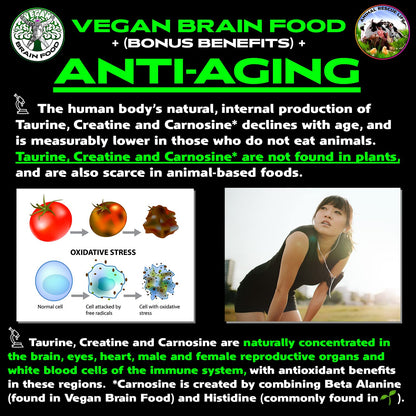 Vegan Brain & Body Boost: The Cherry On Top of A Plant-Based Lifestyle | Working Intelligence | Anti-Aging | Physical Fitness | Vegan Amino Acids - Creatine, Taurine & Beta Alanine | 40 Servings/300g - Maple Wellness Supplements