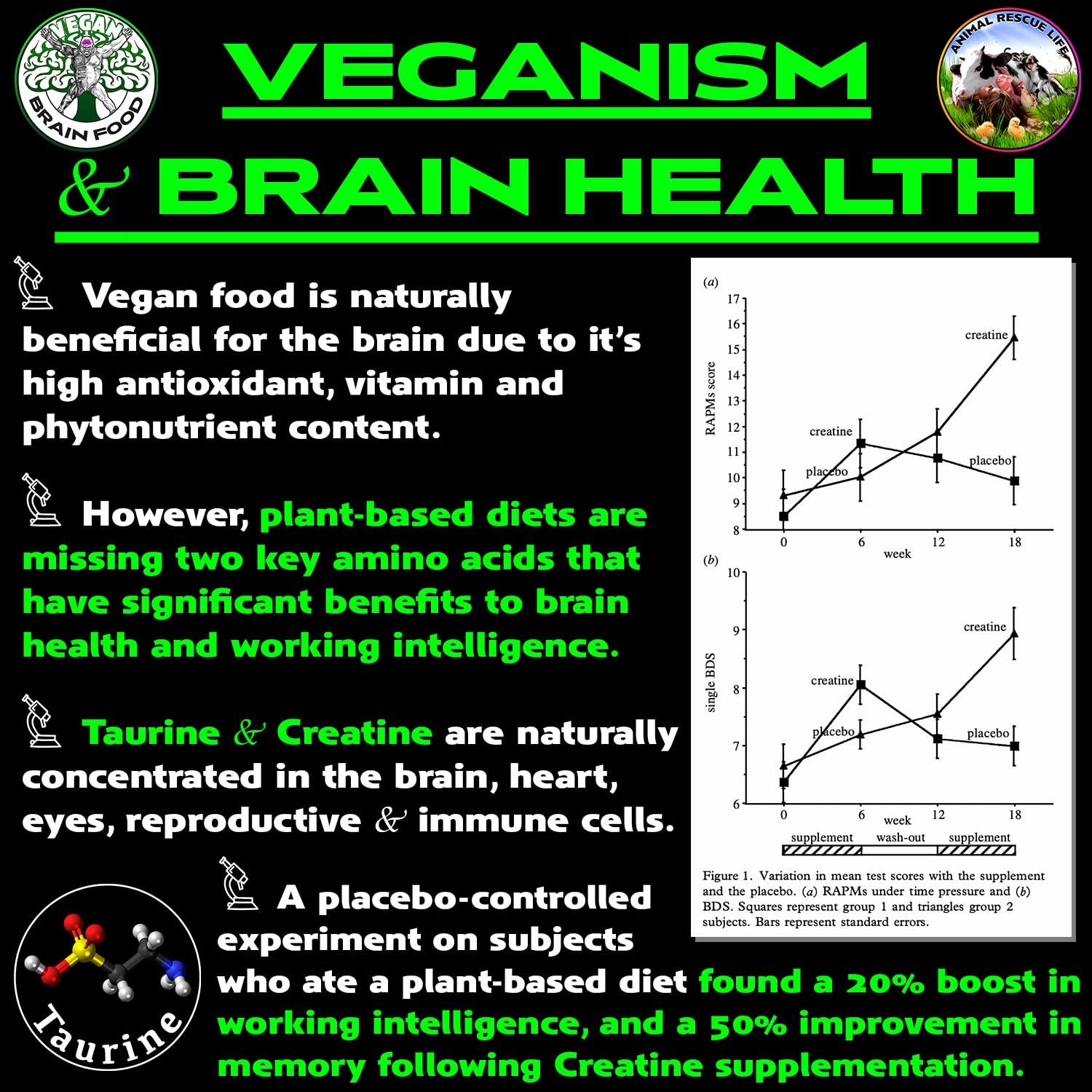 Vegan Brain & Body Boost: The Cherry On Top of A Plant-Based Lifestyle | Working Intelligence | Anti-Aging | Physical Fitness | Vegan Amino Acids - Creatine, Taurine & Beta Alanine | 40 Servings/300g - Maple Wellness Supplements