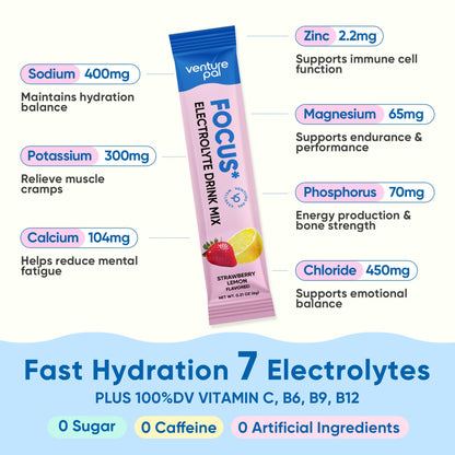 Venture Pal 2-in-1 Hydration Packets + Focus Support Electrolytes Powder, 7 Electrolytes + Vitamins, Magnesium, Lion's Mane & L-Theanine - Maple Wellness Supplements
