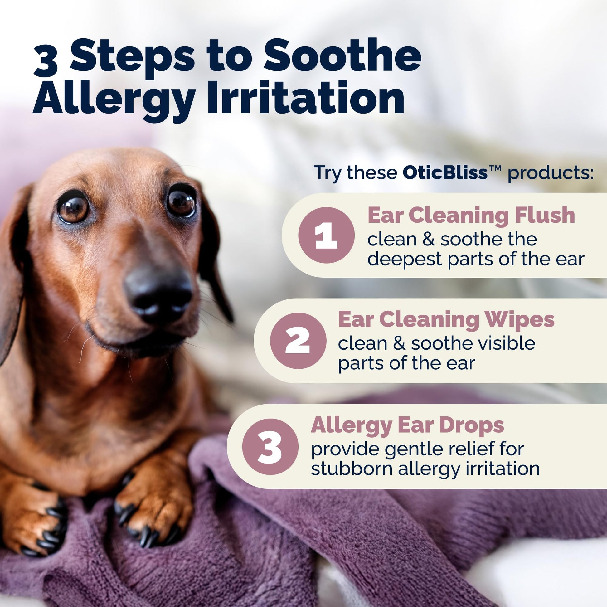 Vetnique Oticbliss Cat & Dog Ear Infection Treatment | Dog Ear Allergy Relief Drops, MicroSilver Yeast Infection Treatment for Dogs, Hydrocortisone for Itching, Redness Swelling (Ear Allergy Drops) - Maple Wellness Supplements