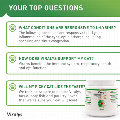 Vetoquinol Viralys Daily L-Lysine Powder for Cats and Kittens, Fish Flavored Lysine Supplement for Cats and Kittens to Support Immune Health - Maple Wellness Supplements