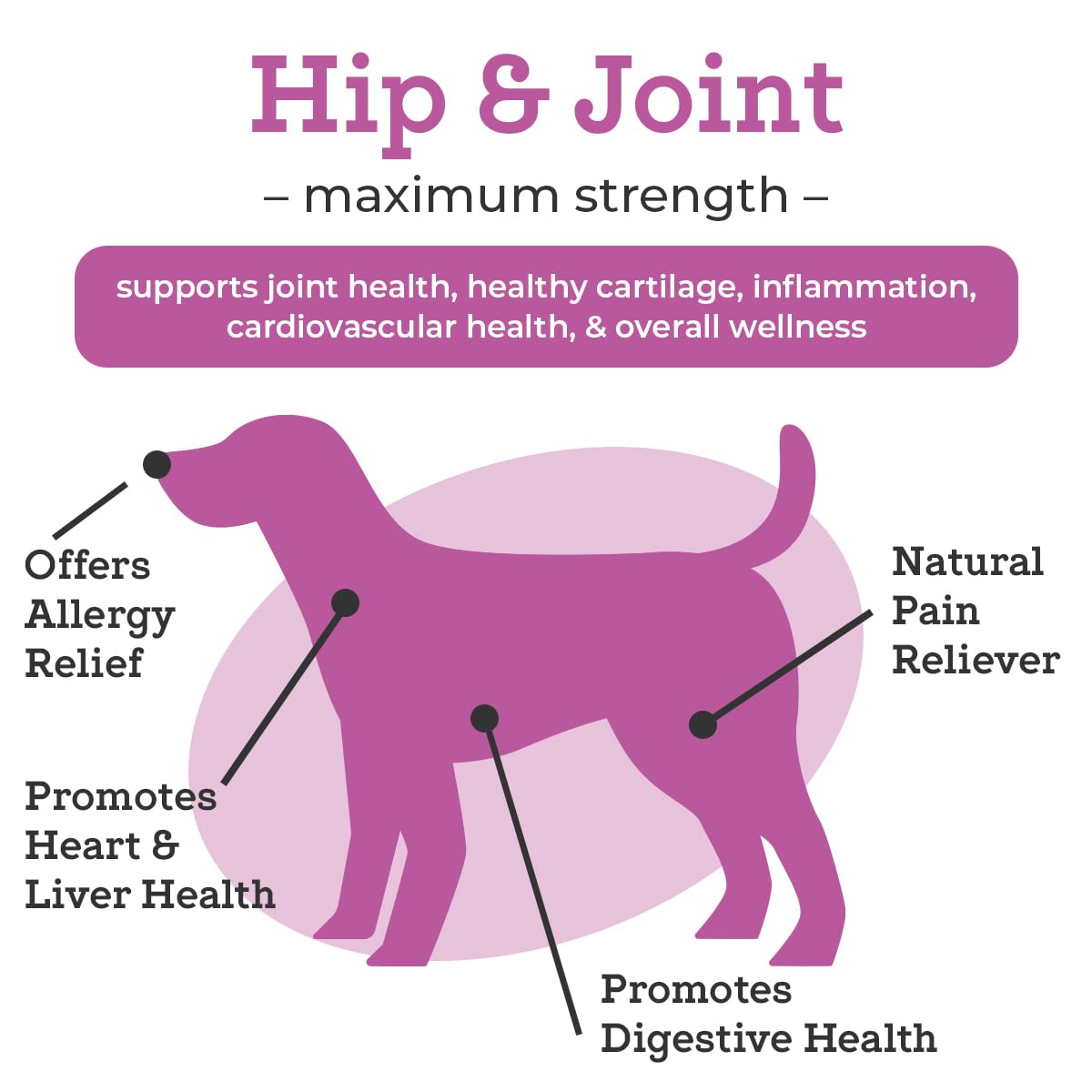 VetPro Dog Hip and Joint Supplement - Pain and Inflammation Relief Chews - Maple Wellness Supplements