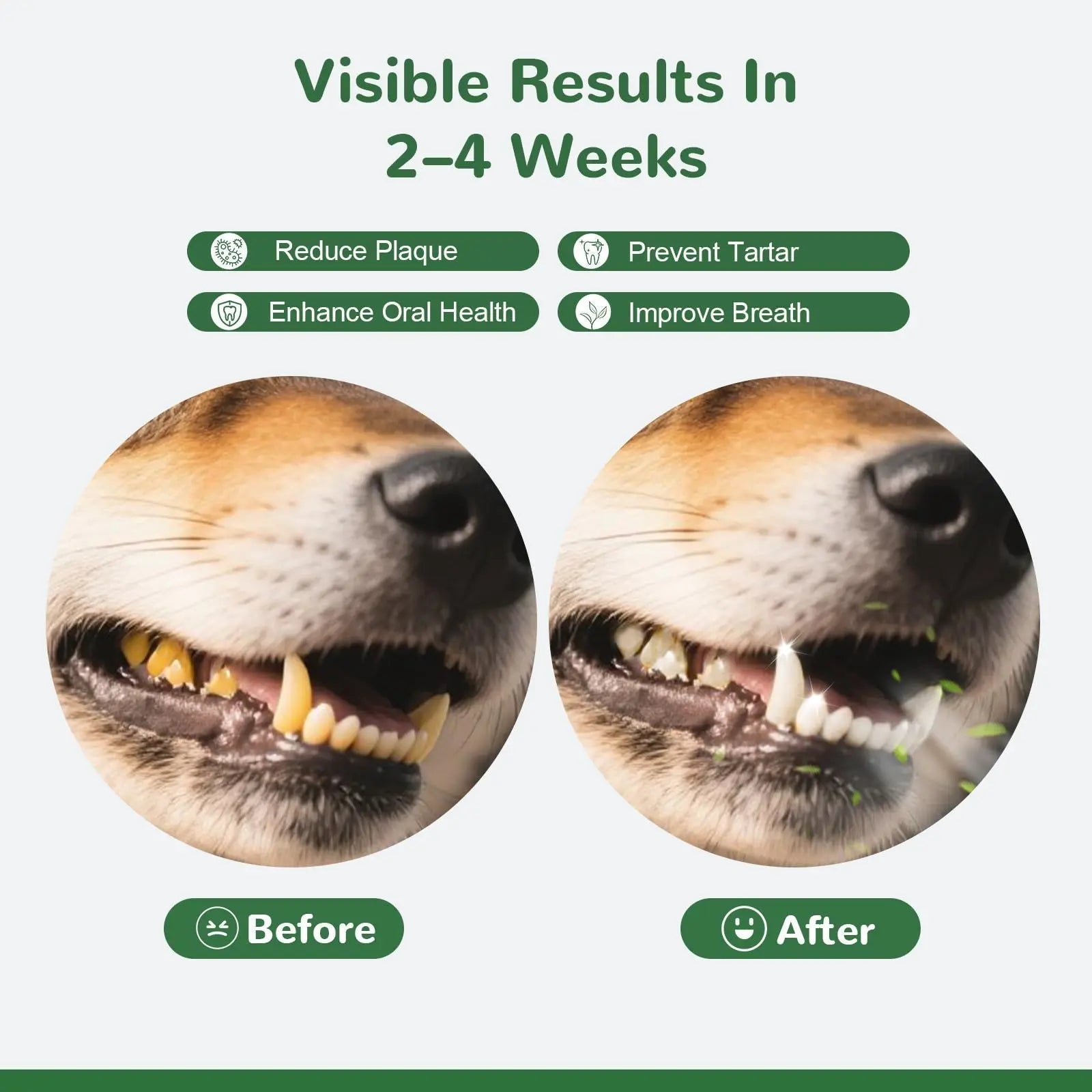 Vetriuntrix Dog Teeth Cleaning Powder, Dental Powder for Dogs Teeth Tartar Remove & Plaque Off, Fresh Breath for Dogs with Natural Plants Blend, Enzymes and Postbiotics, 300g - Maple Wellness Supplements