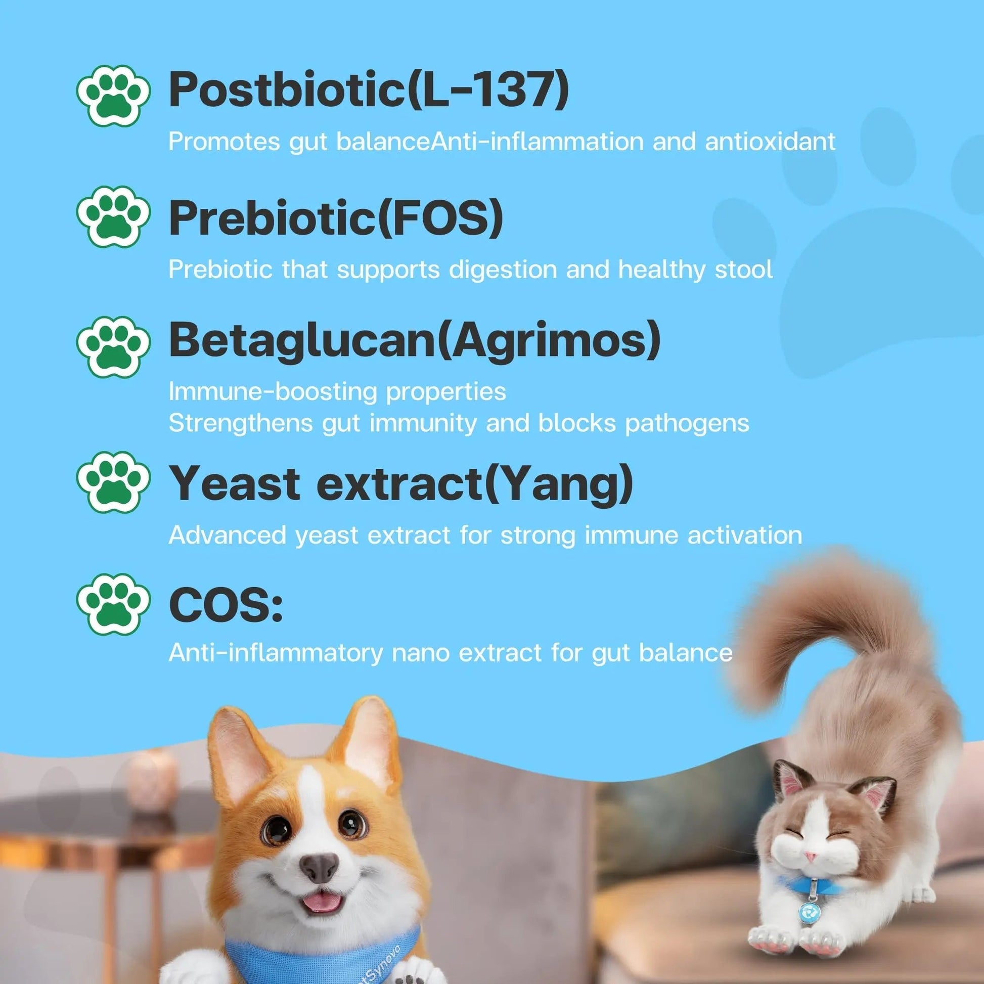 VFcare BIO Supplement for Cats & Dogs – Anti Diarrhea for Dogs, Gut Health Paste with Postbiotics, Prebiotics, FOS, L-137, Yeast Extract – Anti Diarrhea for Dogs, 30 Sachets - Maple Wellness Supplements