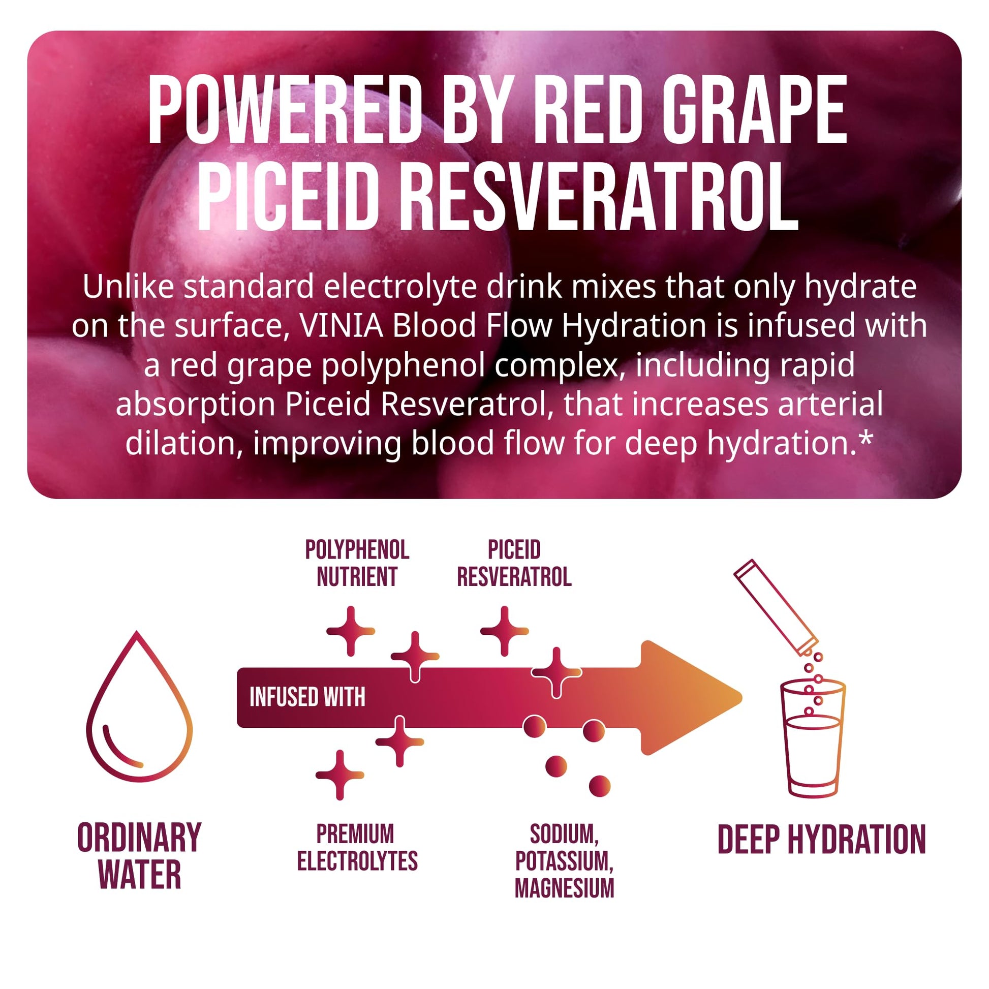 VINIA Resveratrol Electrolyte Hydration Powder Mix | Boost Blood Flow & Circulation | Sea Salt, Coconut Water Potassium - Maple Wellness Supplements