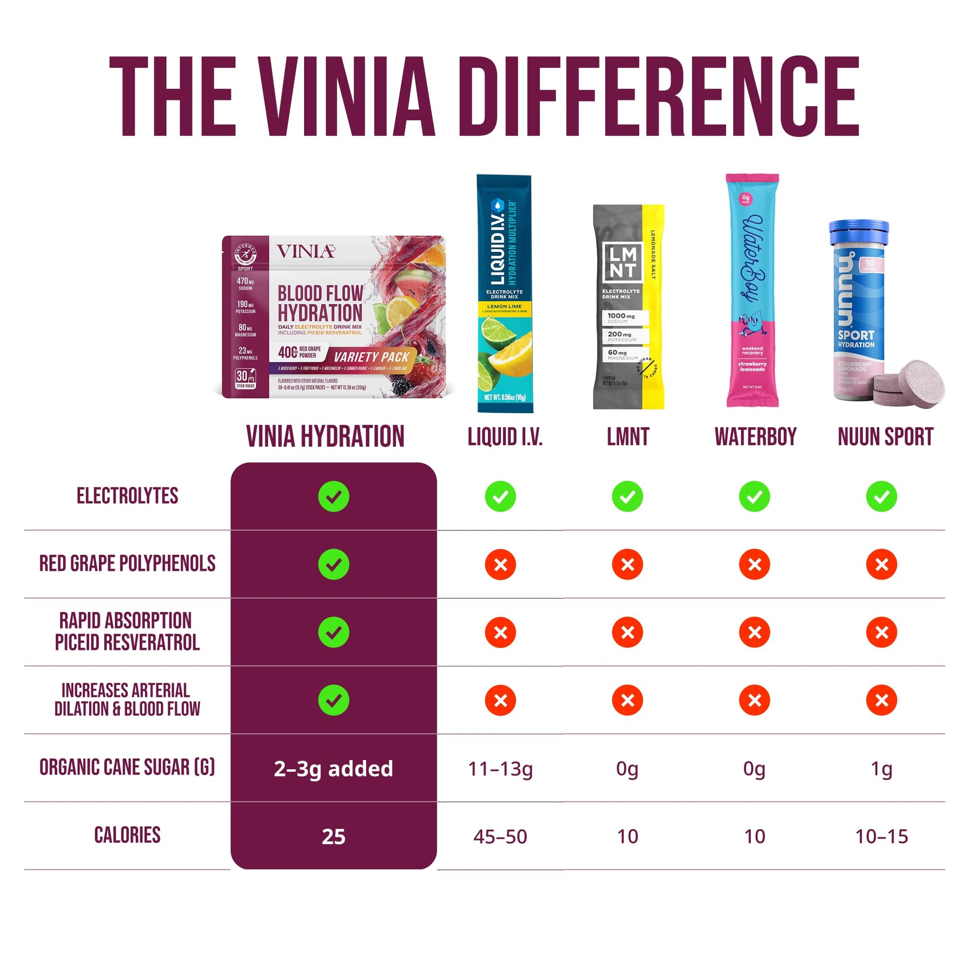 VINIA Resveratrol Electrolyte Hydration Powder Mix | Boost Blood Flow & Circulation | Sea Salt, Coconut Water Potassium - Maple Wellness Supplements