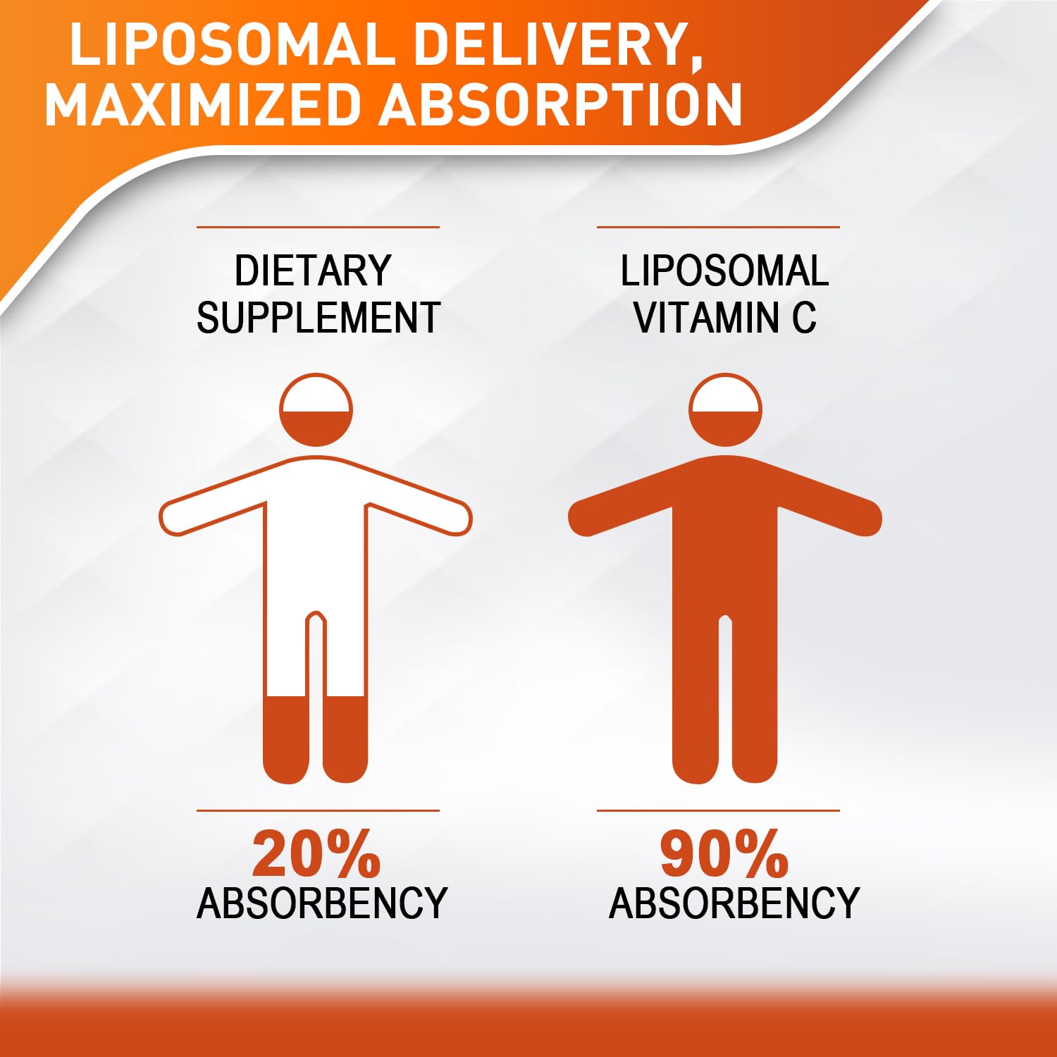 Vitablosom Liposomal Vitamin C 2000mg Liquid for Adults, High Absorption VIT C, Maximize Vitamin C, Immune System & Antioxidant Support, 60ML (2 Bottle) - Maple Wellness Supplements