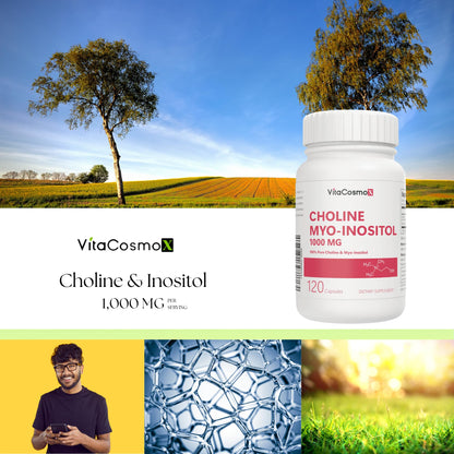 VitaCosmoX Choline and Myo-Inositol Supplement, 1000 mg Each, 120 Veggie Capsules 100% Vegetarian, Non-GMO & Gluten Free - Maple Wellness Supplements