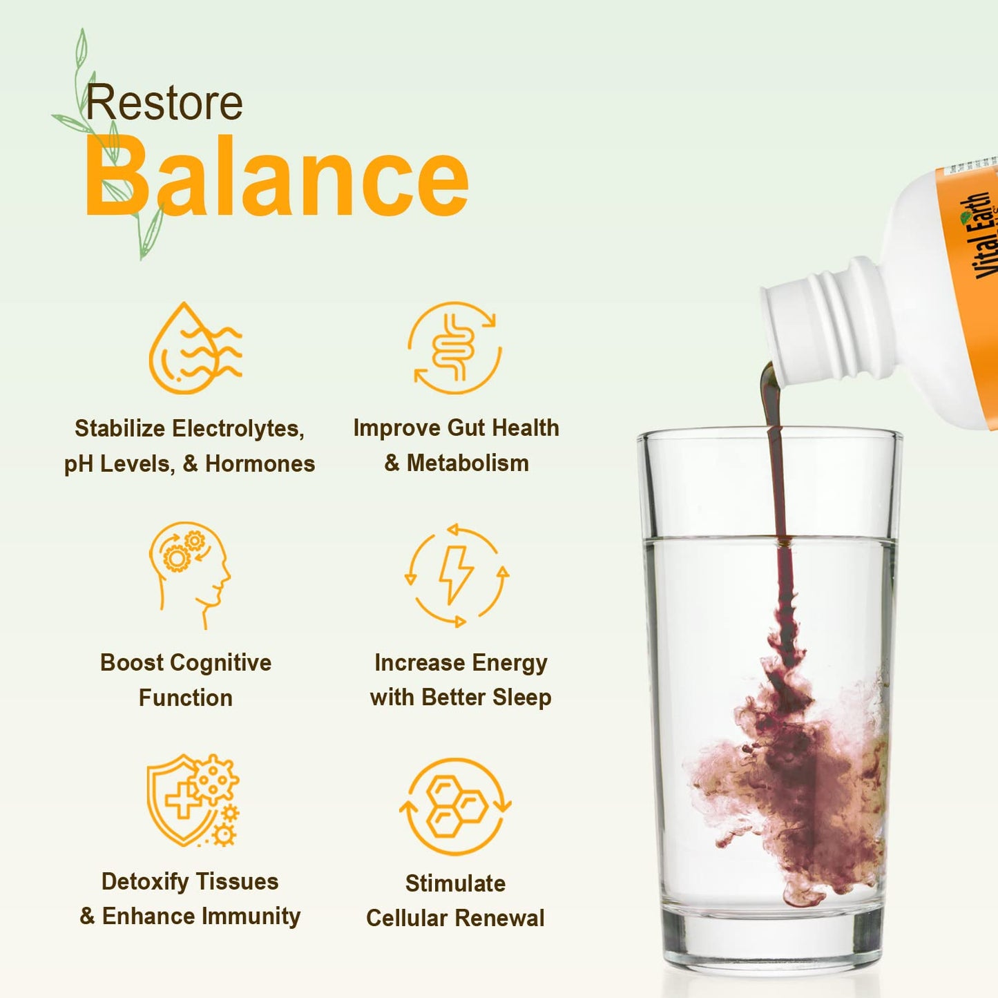 Vital Earth Minerals Fulvic Humic Mineral Blend Liquid – Fulvic Acid Supplement with 70+ Trace Minerals, Electrolytes for Recovery - Maple Wellness Supplements