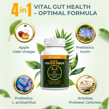 Vital Gut Health 4in1 Formula with Apple Cider Vinegar, Prebiotics & Probiotics, Digestive Enzymes for Strong Immunity Support - Maple Wellness Supplements