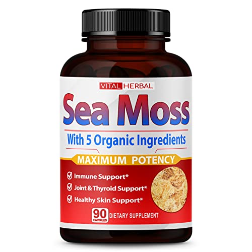 VITAL HERBAL Irish Sea Moss Capsules Equivalent to 5450mg - Maximum Potency - Maple Wellness Supplements
