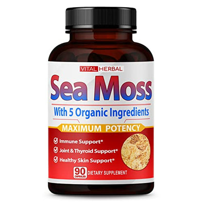 VITAL HERBAL Irish Sea Moss Capsules Equivalent to 5450mg - Maximum Potency - Maple Wellness Supplements