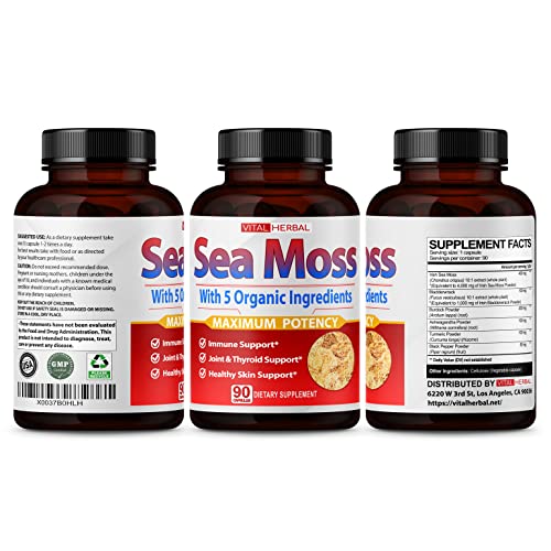 VITAL HERBAL Irish Sea Moss Capsules Equivalent to 5450mg - Maximum Potency - Maple Wellness Supplements