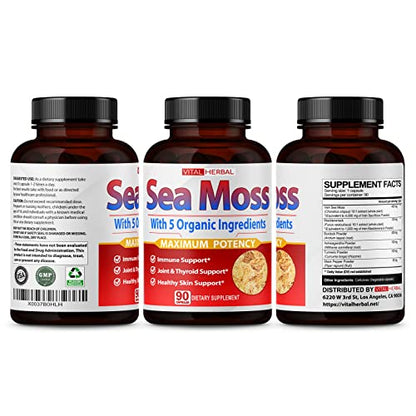 VITAL HERBAL Irish Sea Moss Capsules Equivalent to 5450mg - Maximum Potency - Maple Wellness Supplements