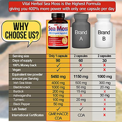 VITAL HERBAL Irish Sea Moss Capsules Equivalent to 5450mg - Maximum Potency - Maple Wellness Supplements