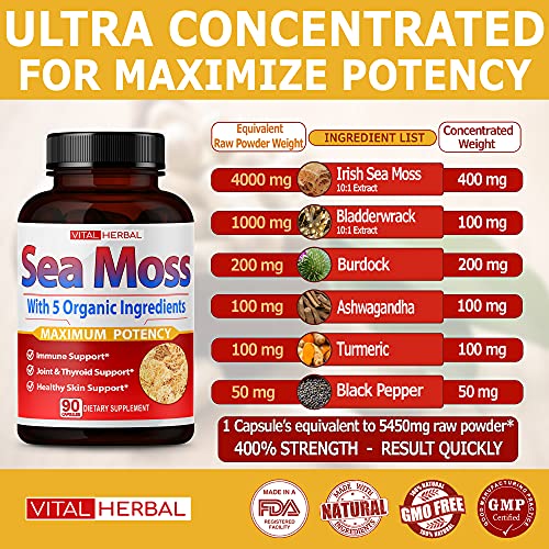 VITAL HERBAL Irish Sea Moss Capsules Equivalent to 5450mg - Maximum Potency - Maple Wellness Supplements