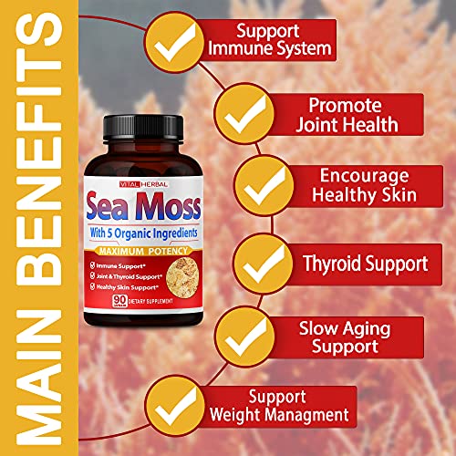 VITAL HERBAL Irish Sea Moss Capsules Equivalent to 5450mg - Maximum Potency - Maple Wellness Supplements