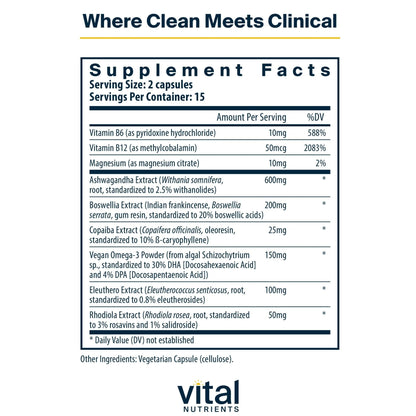 Vital Nutrients Cortisol Balance | Vegan Adrenal Support Supplements | Cortisol Manager Supports Energy & Stress Levels | Ashwagandha & Magnesium for Relaxation | Gluten, Dairy, Soy Free | 90 Capsules - Maple Wellness Supplements