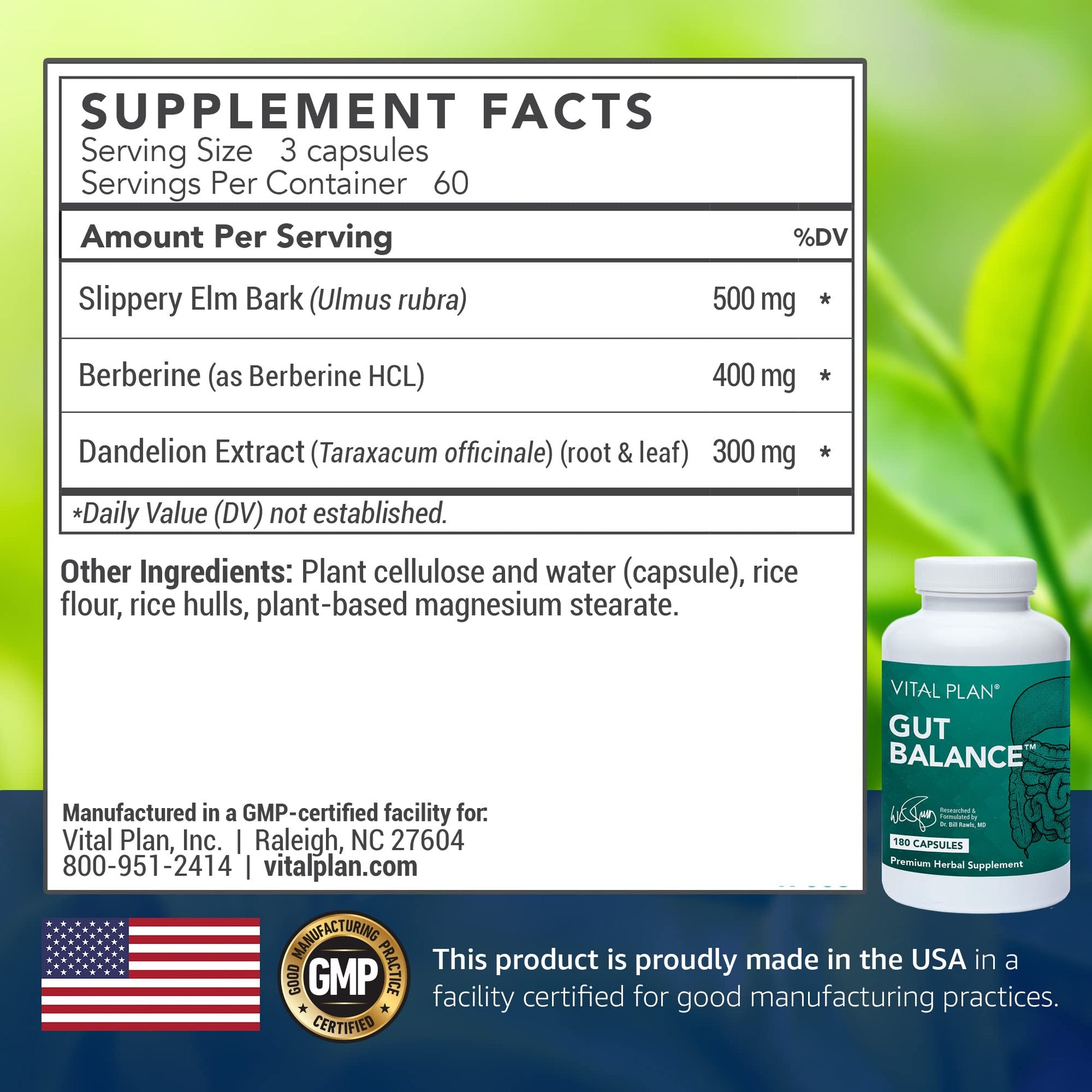 Vital Plan Gut Balance Supplement by Dr. Bill Rawls - Advanced Digestive Health Support Formula w/Clinical-Grade Slippery Elm Bark, Berberine & Dandelion Extract for Women & Men (180 Capsules) - Maple Wellness Supplements