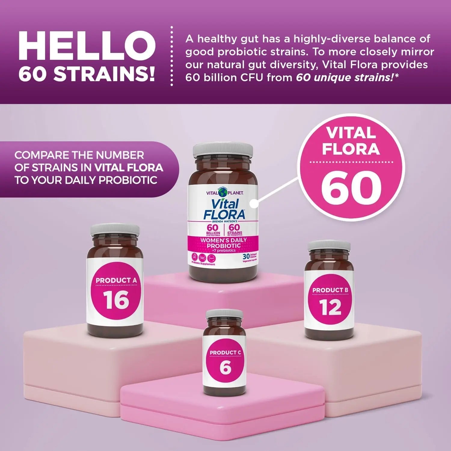 Vital Planet - Vital Flora Women’s Daily Probiotic 60 Billion CFU, 60 Diverse Strains, 7 Organic Prebiotics, Vaginal and Immune Support, Bloating, Digestive Health Probiotics for Women 30 Capsules - Maple Wellness Supplements