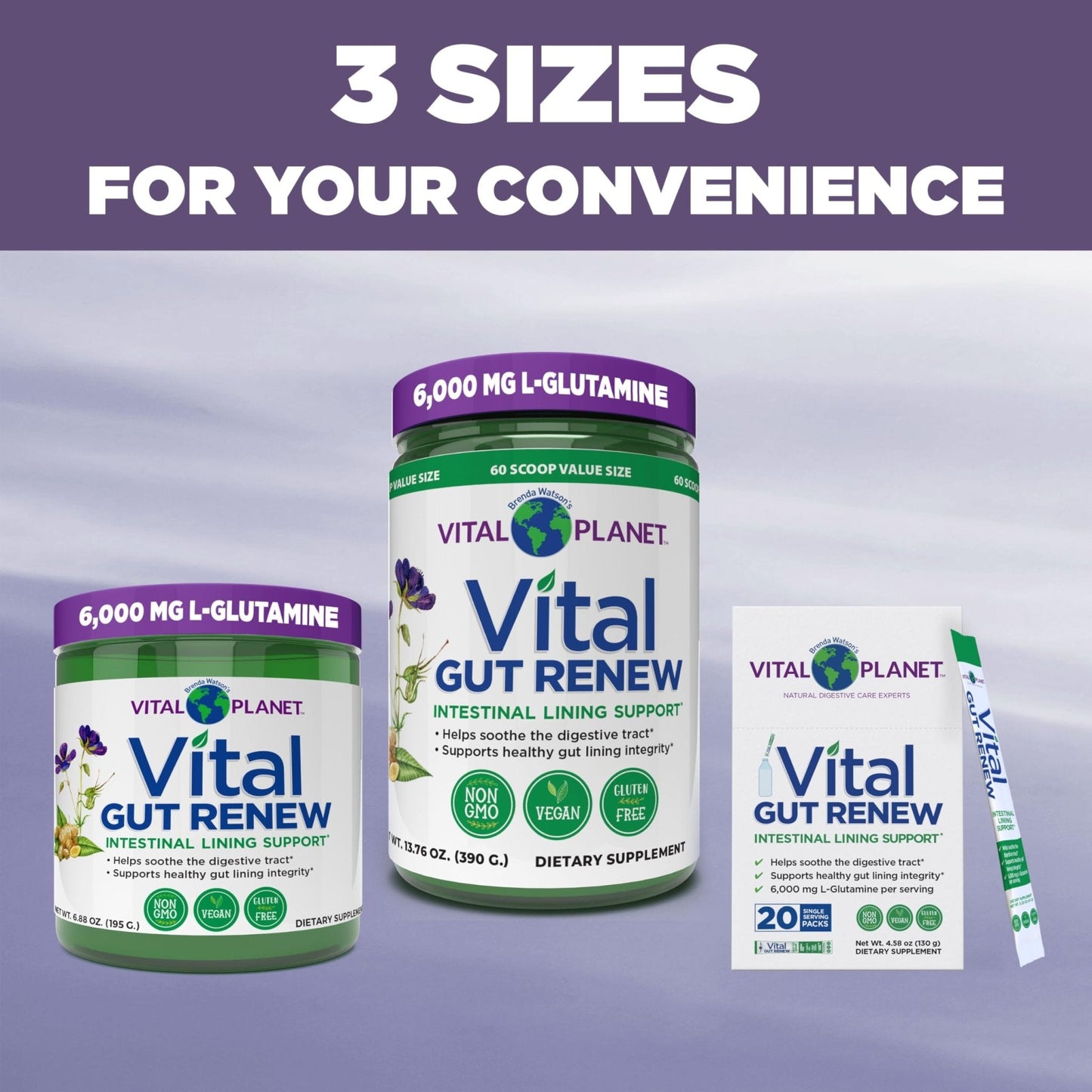 Vital Planet - Vital Gut Renew Powder Supplement for Leaky Gut Repair with L-Glutamine, Marshmallow and Ginger Root, DGL Licorice Root and Organic - Maple Wellness Supplements