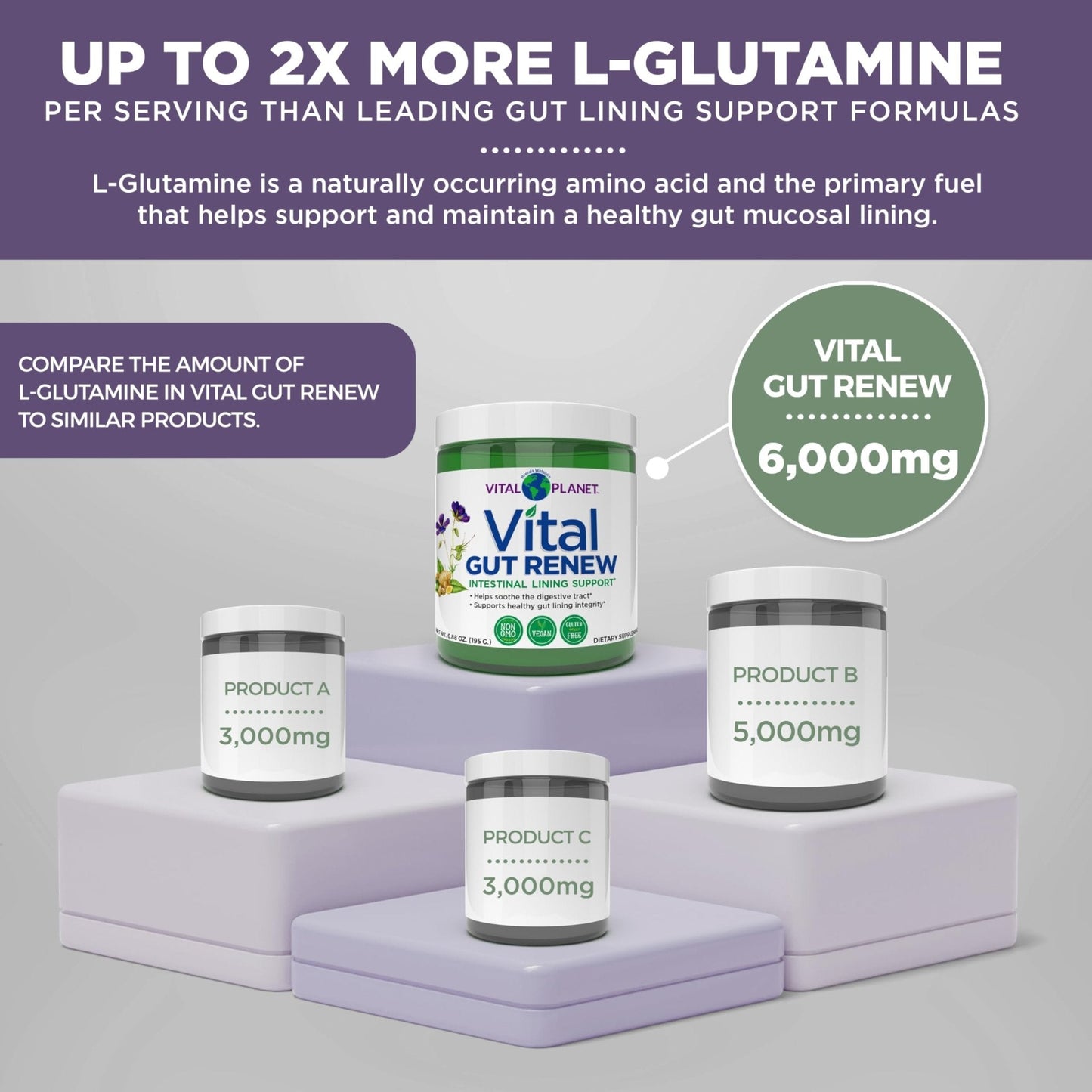 Vital Planet - Vital Gut Renew Powder Supplement for Leaky Gut Repair with L-Glutamine, Marshmallow and Ginger Root, DGL Licorice Root and Organic - Maple Wellness Supplements