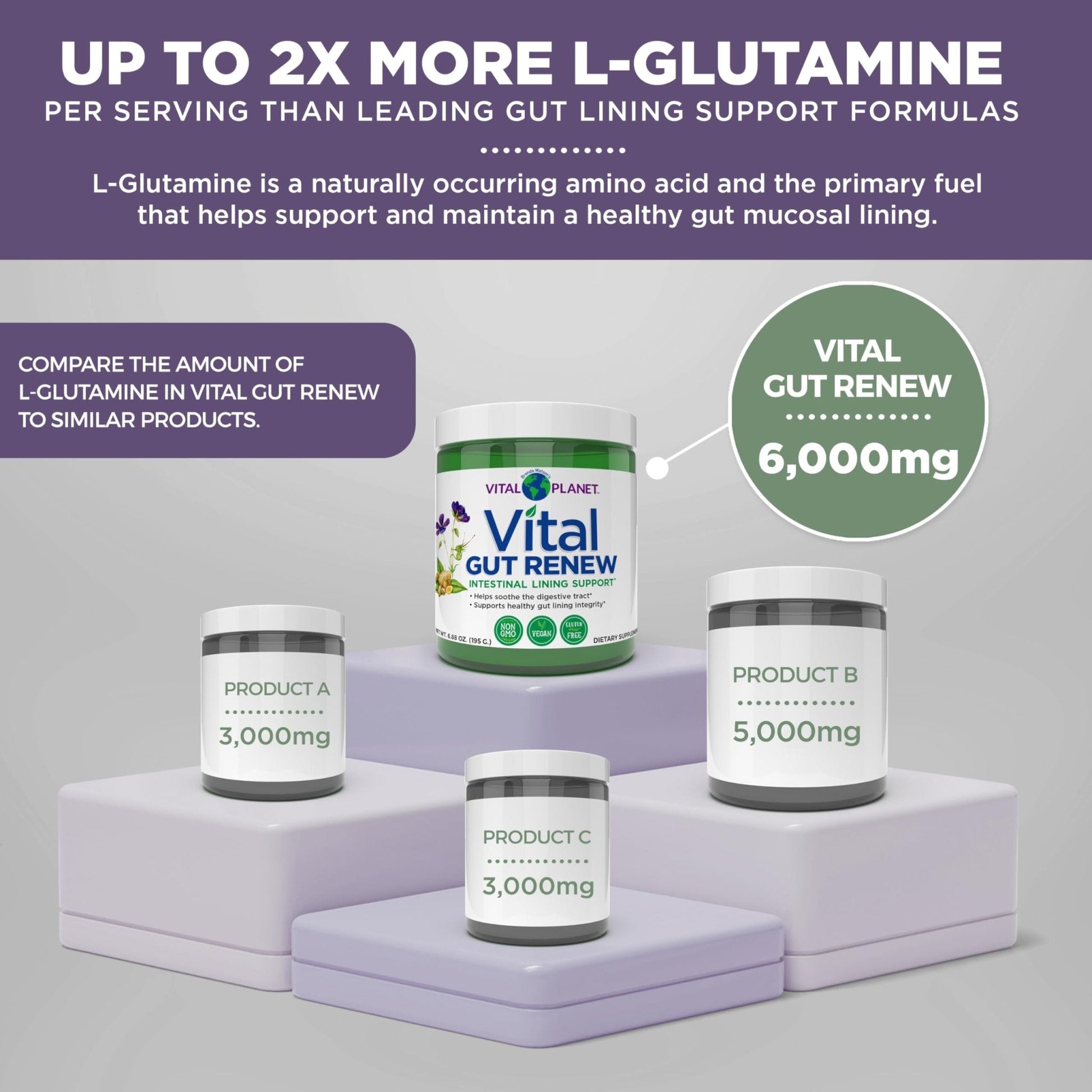 Vital Planet - Vital Gut Renew Powder Supplement for Leaky Gut Repair with L-Glutamine, Marshmallow and Ginger Root, DGL Licorice Root and Organic - Maple Wellness Supplements