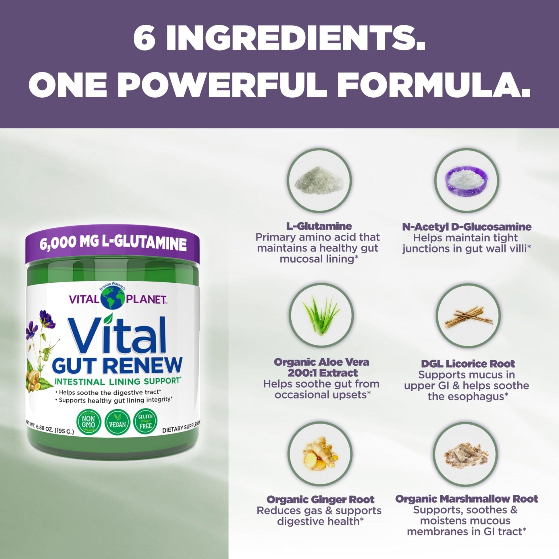 Vital Planet - Vital Gut Renew Powder Supplement for Leaky Gut Repair with L-Glutamine, Marshmallow and Ginger Root, DGL Licorice Root and Organic - Maple Wellness Supplements