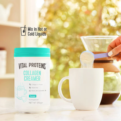 Vital Proteins Collagen Coffee Creamer, No Dairy & Low Sugar Powder with Collagen - Maple Wellness Supplements