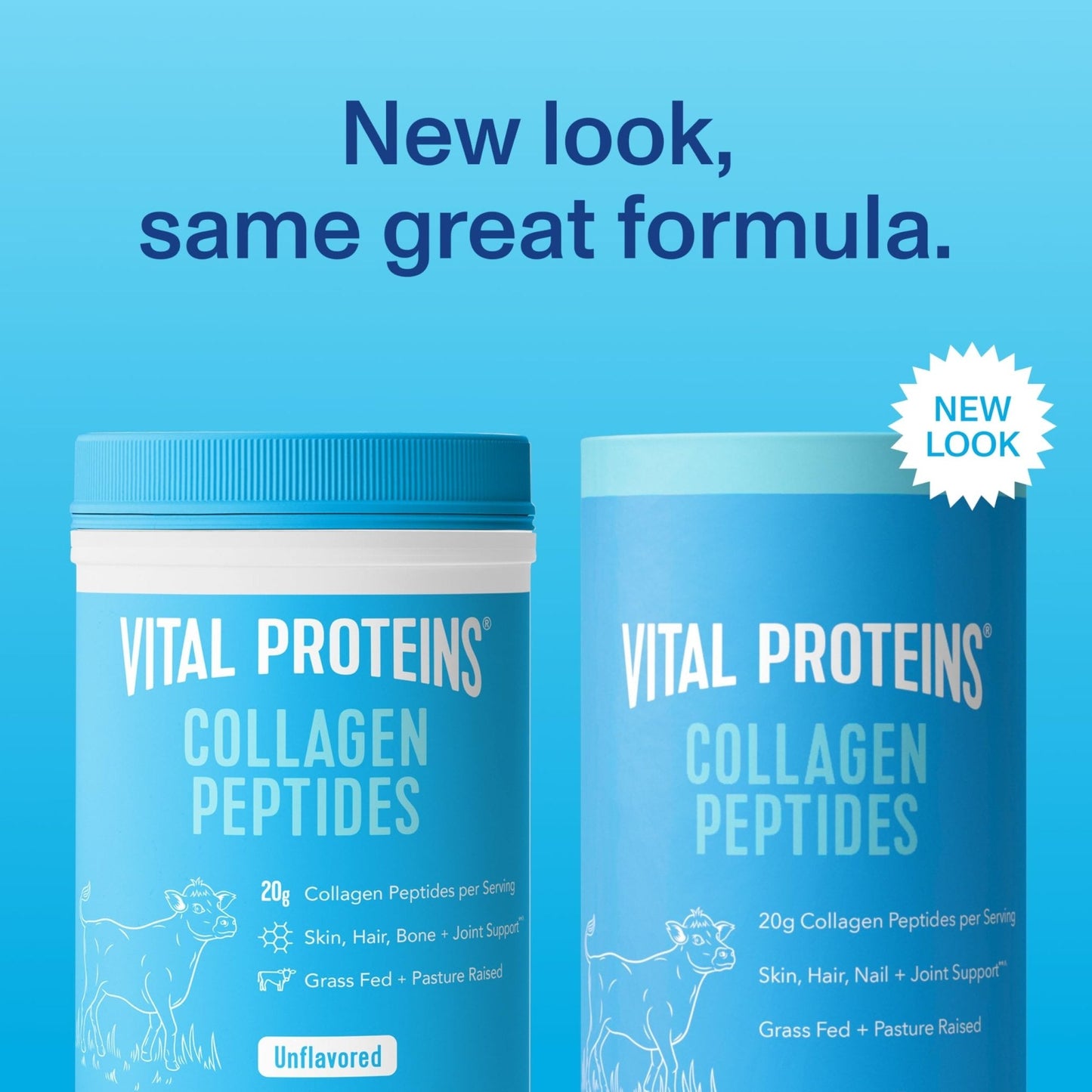 Vital Proteins Collagen Peptides Powder - Supports Hair, Nail, Skin, Bone & Joint Health, Unflavored, Collagen Protein 9.33 OZ - Maple Wellness Supplements