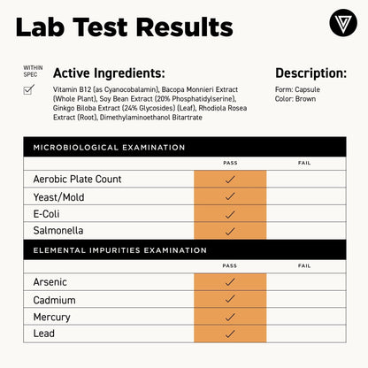Vital Vitamins Brain Supplements with Bacopa Monnieri - for Memory and Focus – Nootropic Brain Booster - Caffeine-Free Support for Adults & Seniors – Non-GMO, 30-Day Supply, 30 Capsules - Maple Wellness Supplements
