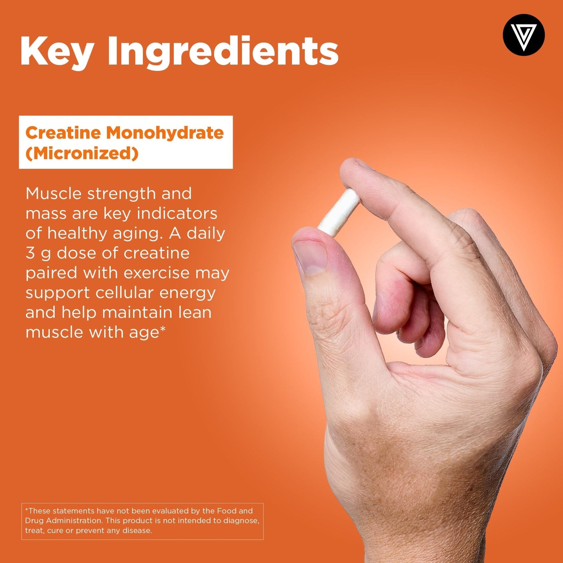 Vital Vitamins Creatine Monohydrate Pills for Women & Men - Micronized Creatine Capsules - Cognitive, Strength, Recovery Support - 3g (3000mg) per Serving - Vegan, Non-GMO, 120 Count - Maple Wellness Supplements