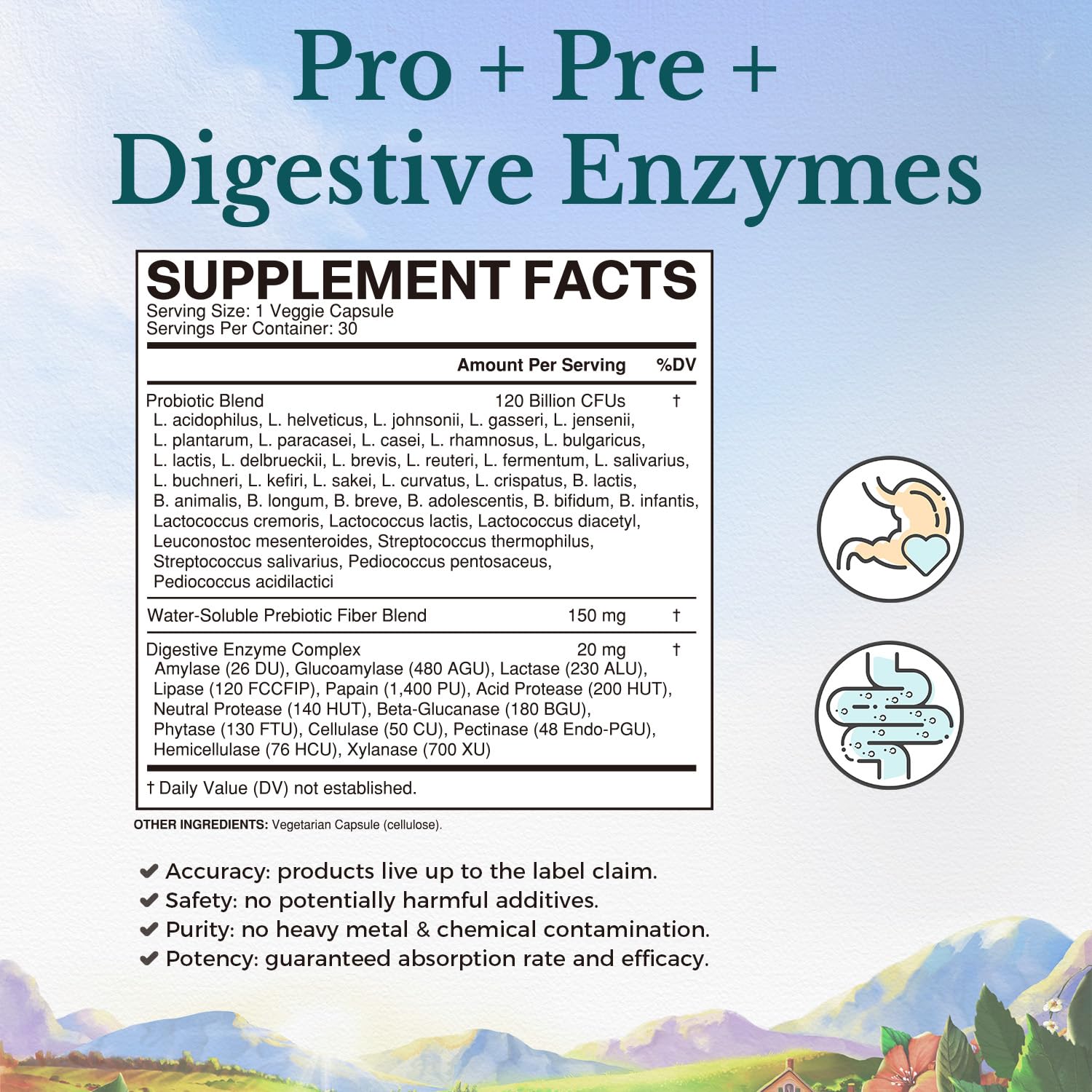 VITALITOWN Probiotics 120 Billion CFUs | 36 Strains, with Prebiotics & Digestive Enzymes for Men Women | Shelf Stable | Digestive Health & Immune Support - Maple Wellness Supplements