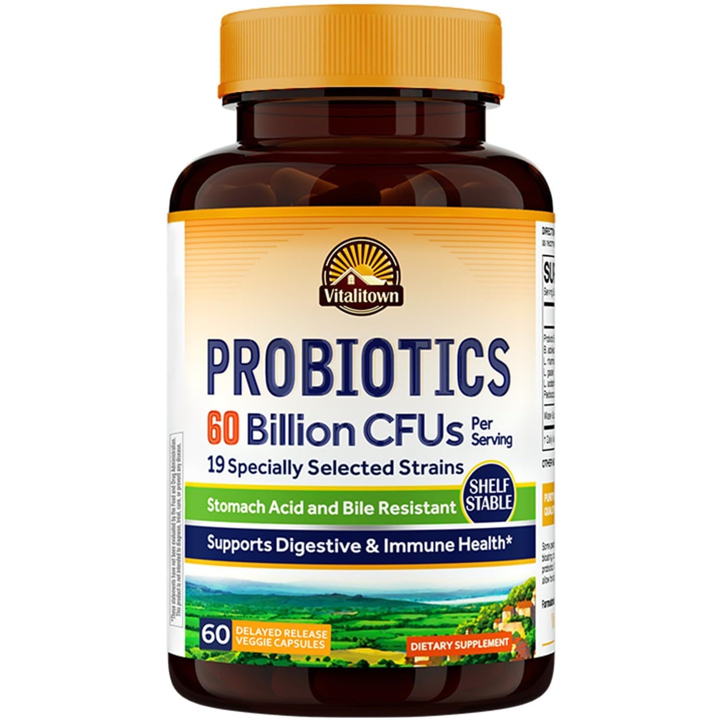 Vitalitown Probiotics + Prebiotics | 60 Billion CFUs 19 Strains | 60 Delayed Release Veg Caps | Shelf Stable, Prebiotics and Probiotics | Digestive Health - Maple Wellness Supplements