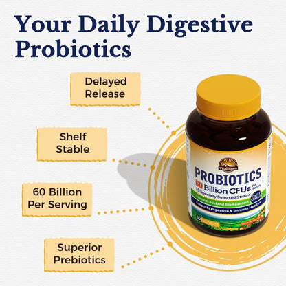 Vitalitown Probiotics + Prebiotics | 60 Billion CFUs 19 Strains | 60 Delayed Release Veg Caps | Shelf Stable, Prebiotics and Probiotics | Digestive Health - Maple Wellness Supplements