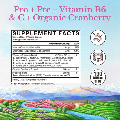 Vitalitown Women's Probiotics | 100 Billion CFUs 18 Strains | Prebiotics, VC & B6, Cranberry | Shelf Stable | Vaginal, Urinary - Maple Wellness Supplements
