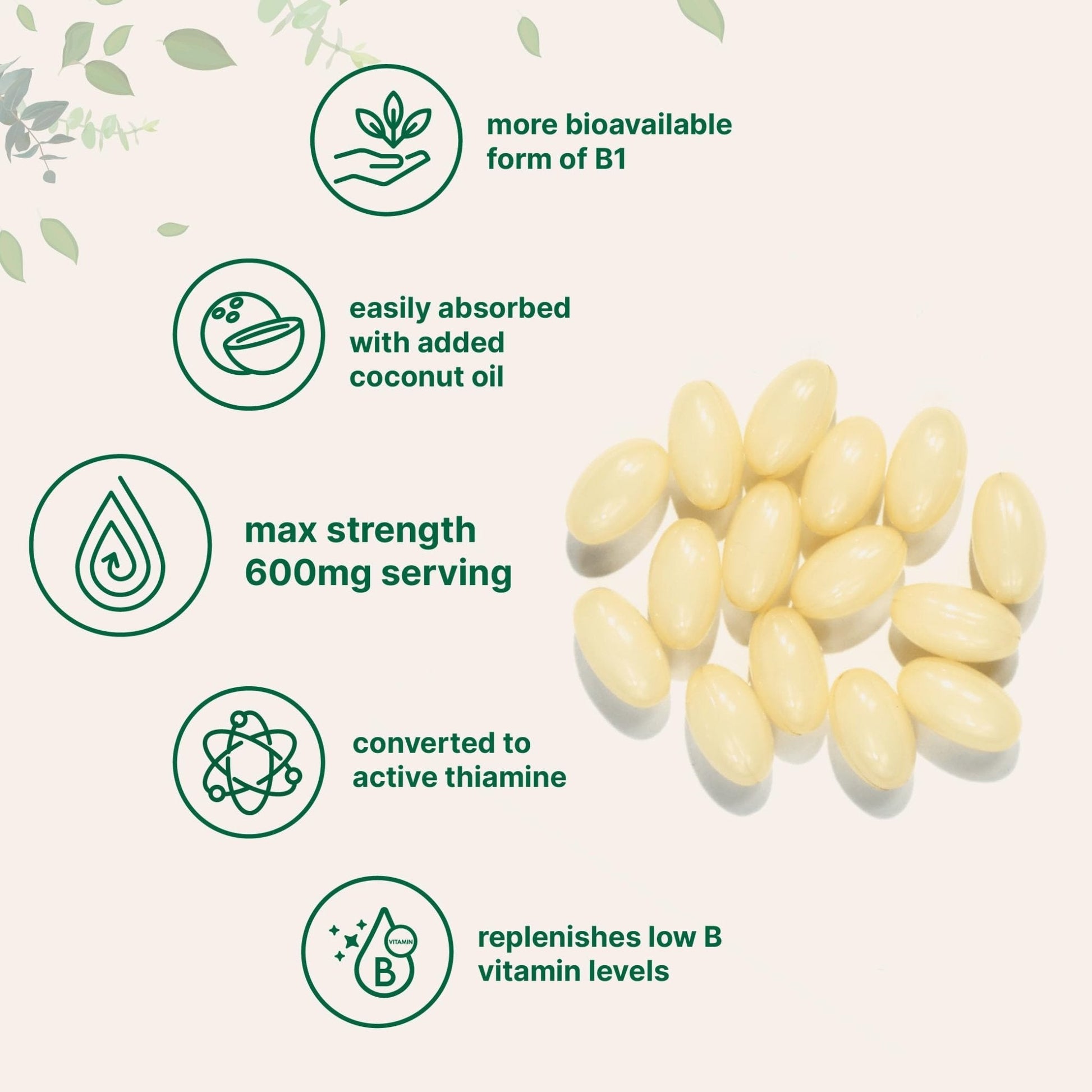 Vitamin B1 Benfotiamine 600mg Per Serving, 240 Coconut Oil Softgels | Bioavailable B Vitamins Supplement, Converted to Active Thiamine | Non-GMO, Soy Free - Maple Wellness Supplements