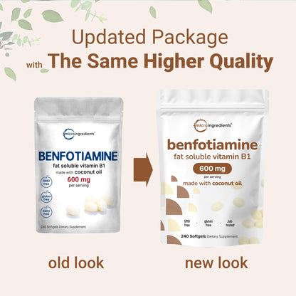 Vitamin B1 Benfotiamine 600mg Per Serving, 240 Coconut Oil Softgels | Bioavailable B Vitamins Supplement, Converted to Active Thiamine | Non-GMO, Soy Free - Maple Wellness Supplements