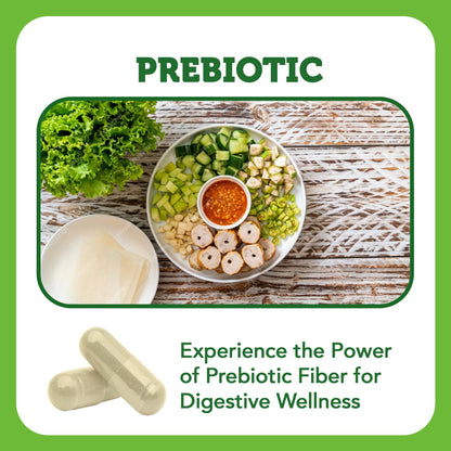 Vitamin Bounty Prebiotic Capsules - PreforPro® Prebiotics Supplement for Women & Men Digestive Health & Advanced Gut Health – No Fiber, No Bloating - Maple Wellness Supplements