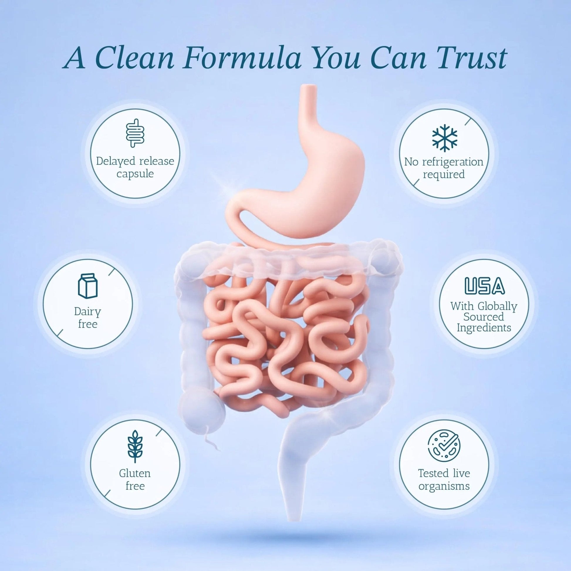 Vitamin Bounty Pro-50 Probiotics 50 Billion CFU for Women & Men - 13 Multi Strain Probiotic + Prebiotic - Digestive Health Supplements for Gut Health Support - Delayed Release Capsules for Men & Women - Maple Wellness Supplements