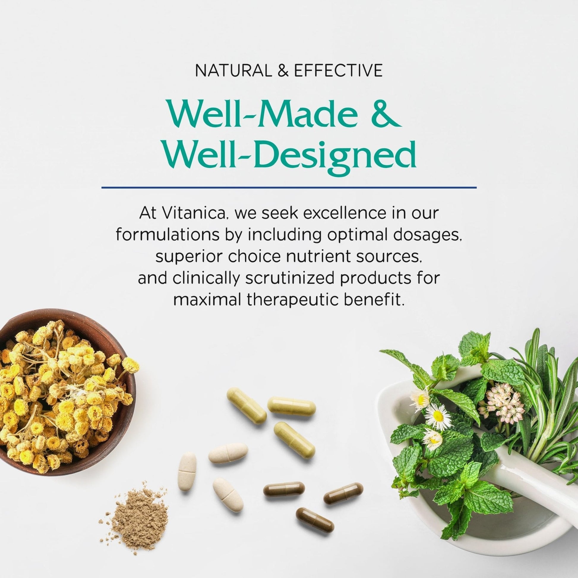 Vitanica MindBlend, Brain Support, Vegan, 60 Capsules - Maple Wellness Supplements