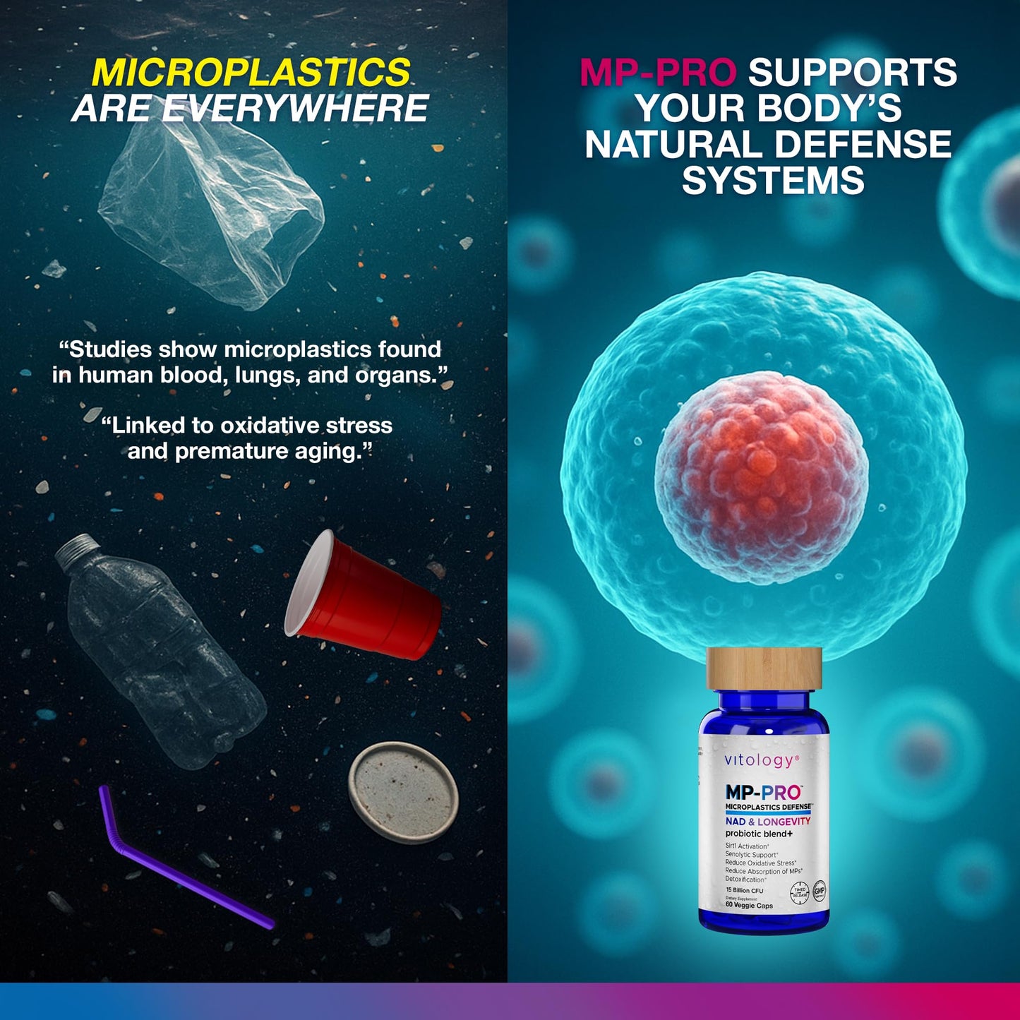 Vitology MP-PRO Microplastics Defense | 15 Billion CFU Probiotic + Antioxidant Blend | NMN, NAC, Glutathione, Resveratrol & Charcoal | Supports Cellular Detox, Longevity & Gut Health – 60 Capsules - Maple Wellness Supplements
