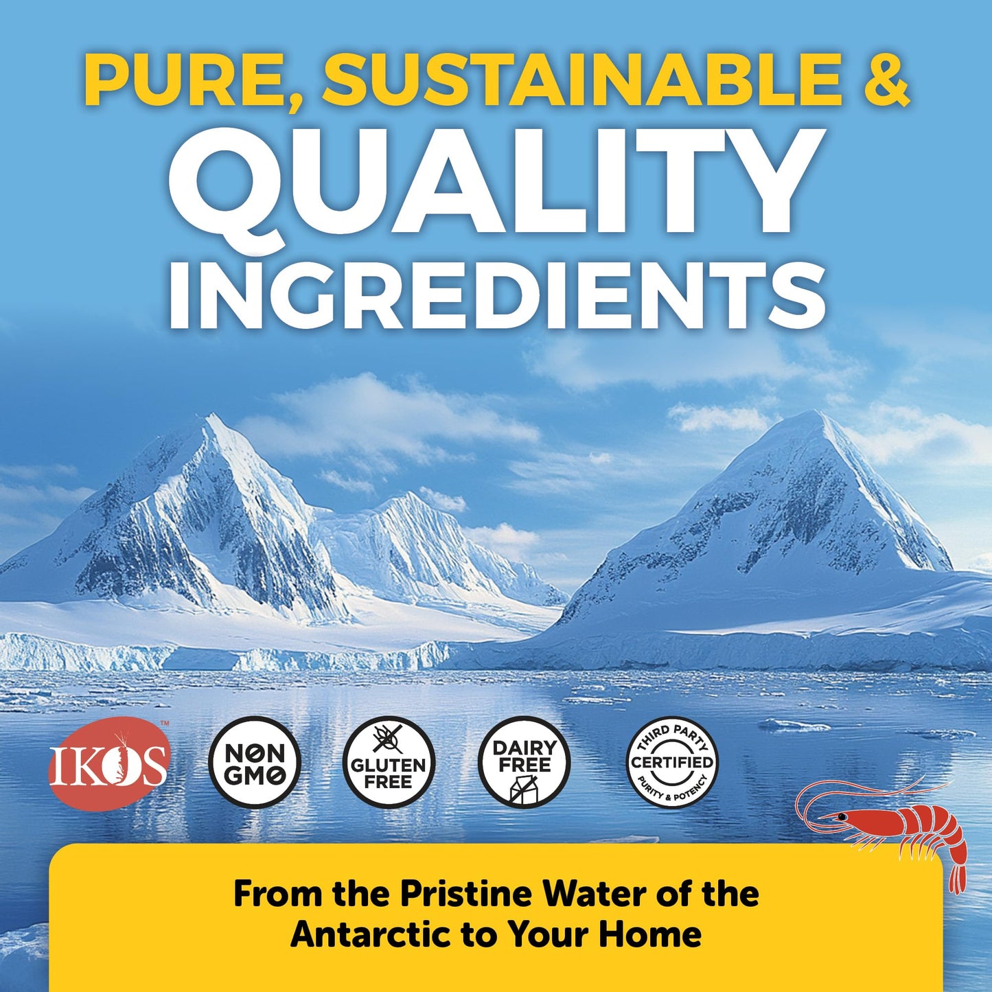 Viva Naturals Antarctic Krill Oil Omega 3 Supplements 1250 mg - DHA EPA Omega-3 & Astaxanthin Concentration for Joint Health, - Maple Wellness Supplements