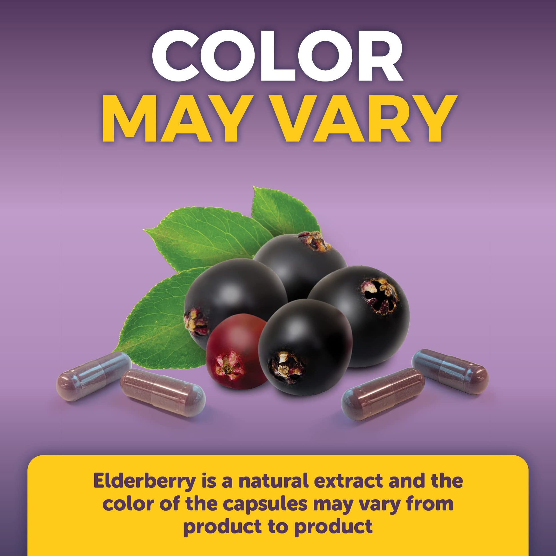 Viva Naturals Elderberry with Vitamin C and Zinc for Adults - 5 in 1 Sambucus Black Elderberry Capsules with Vitamin D3 5000 IU Immunity Supplement - Maple Wellness Supplements