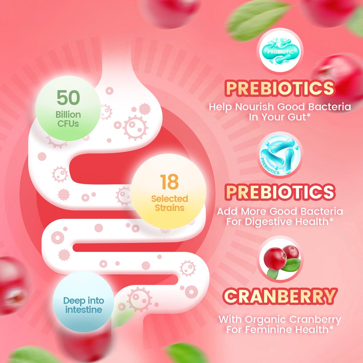 VivoNu Viginal Probiotics for Women, Women Probiotic Gummies, Feminine Balance Gummies, Prebiotic Gummy, Cranberry Probiotics for Woman Vaginigal Health, Yeast Ph Balance| 60 Gummies - Maple Wellness Supplements