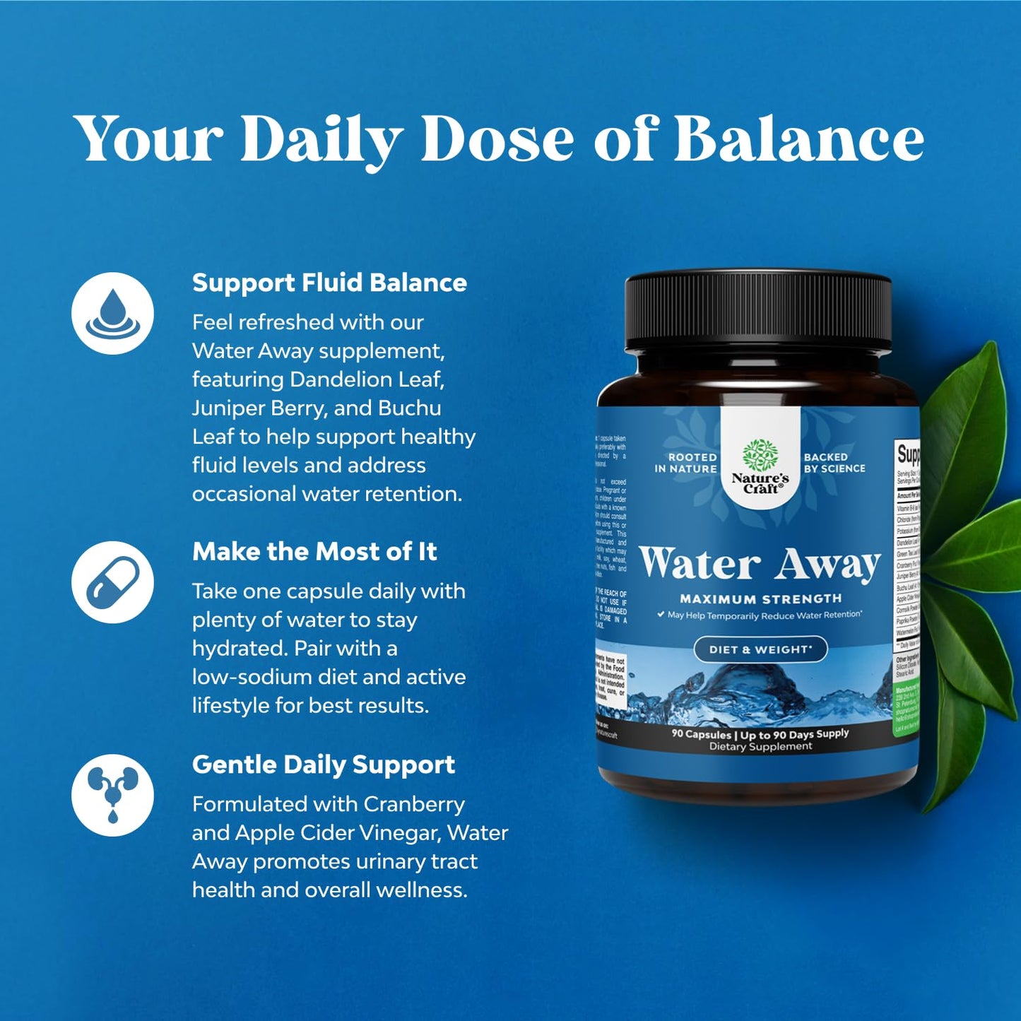 Water Away Herbal Diuretic Pills High Strength - Fluid Retention Supplement with Dandelion Leaf Extract & Green Tea for Bloating Relief for Women & Men - Maple Wellness Supplements